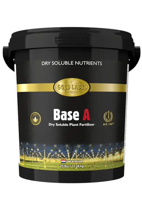 Base A