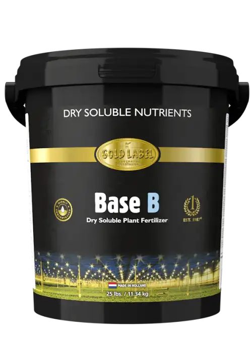 Base B