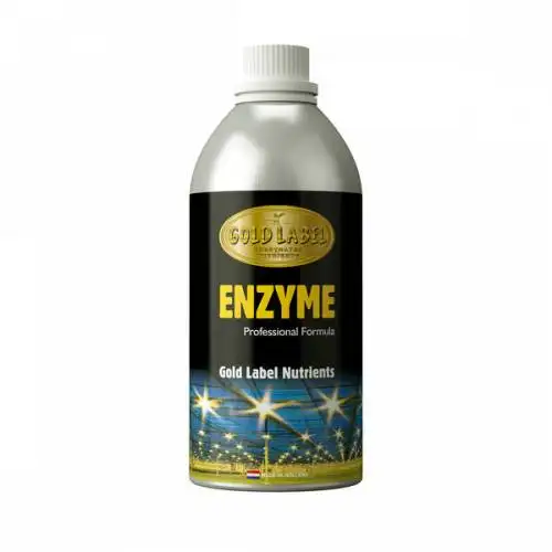 Enzyme