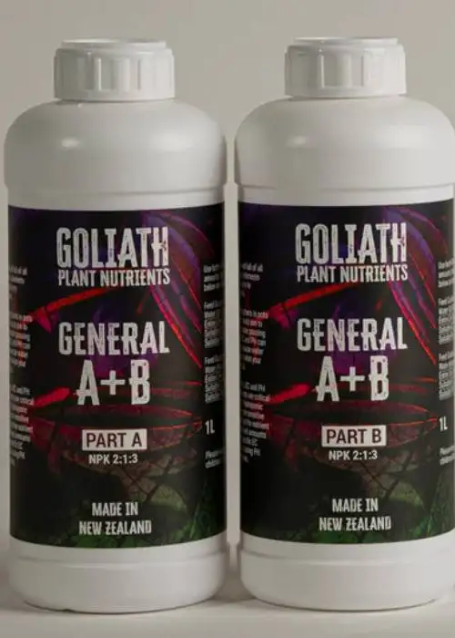 General A + B (Part A)