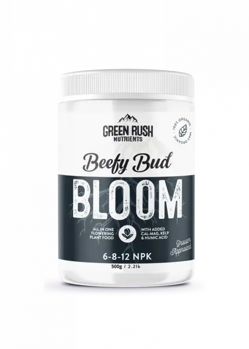Beefy Bud Bloom