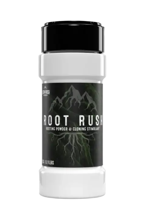 Root Rush
