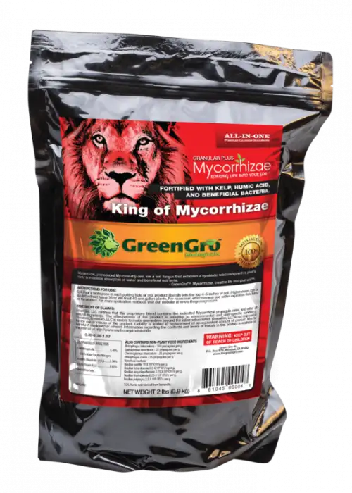 Granular Myco