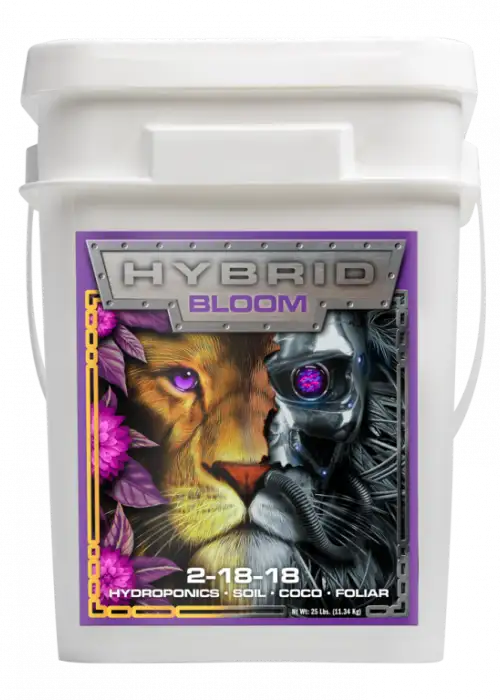 Hybrid Bloom