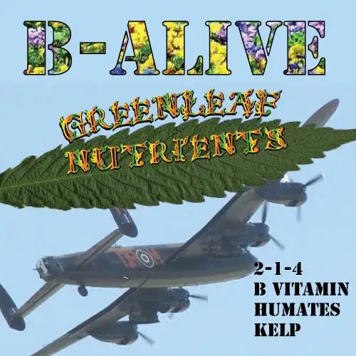 B-Alive