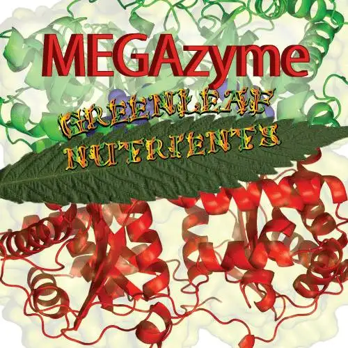 Megazyme