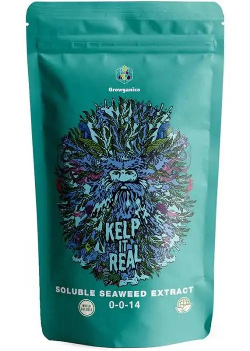 Kelp it Real