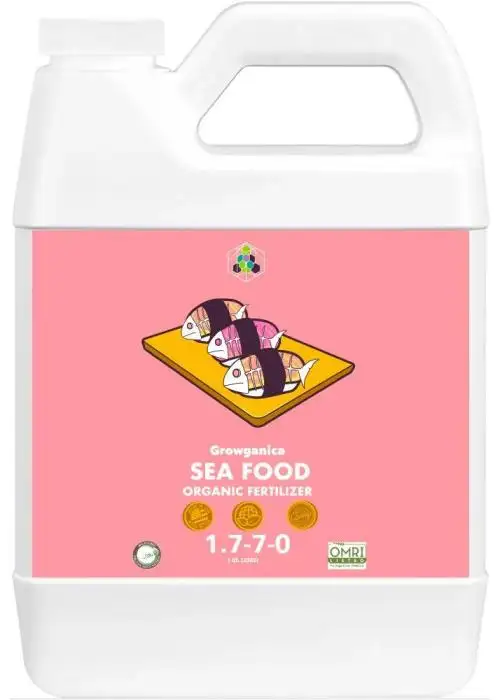 Sea Food
