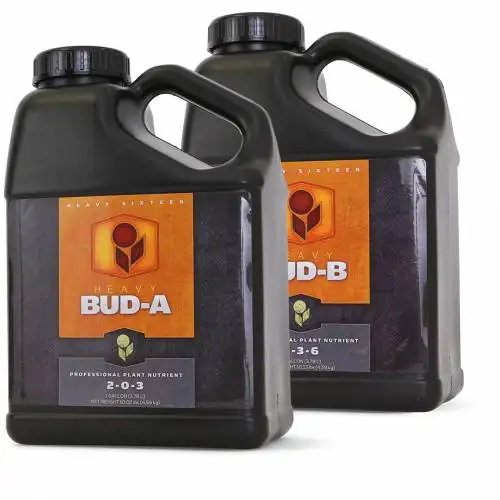 Bud B