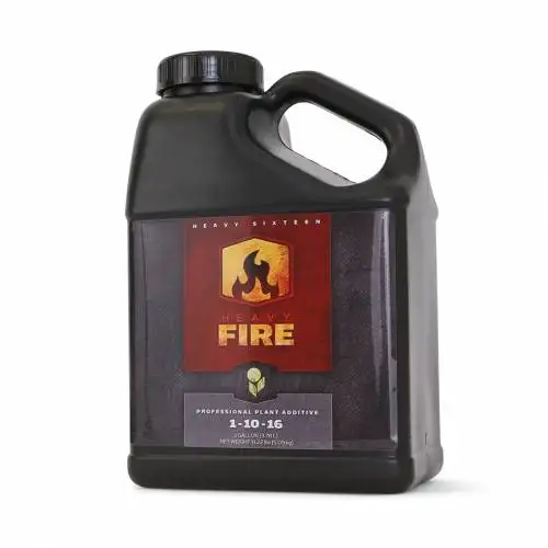Fire