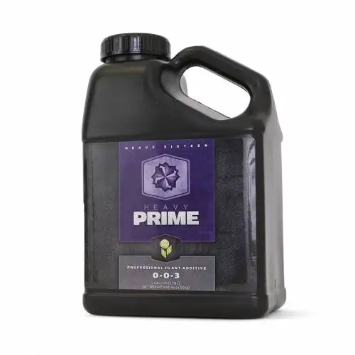 Prime