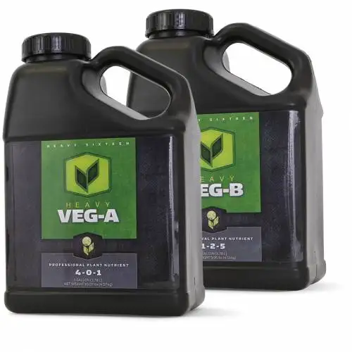 Veg A