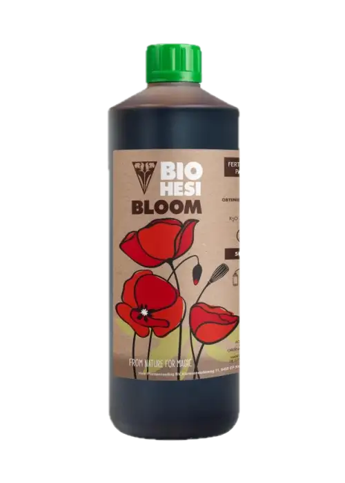 Bio Bloom