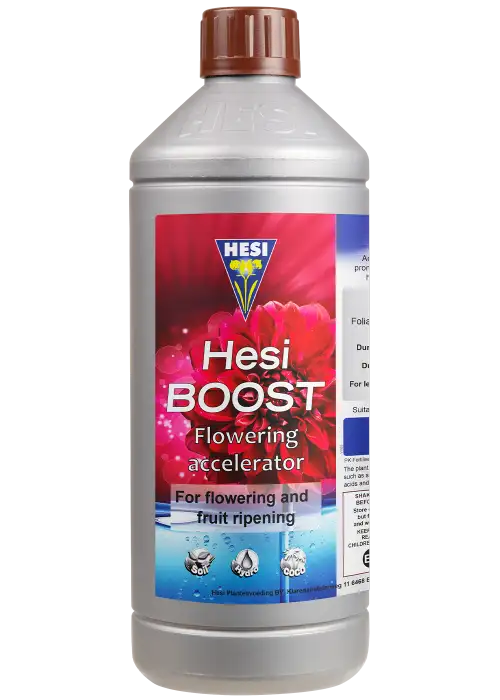 Boost
