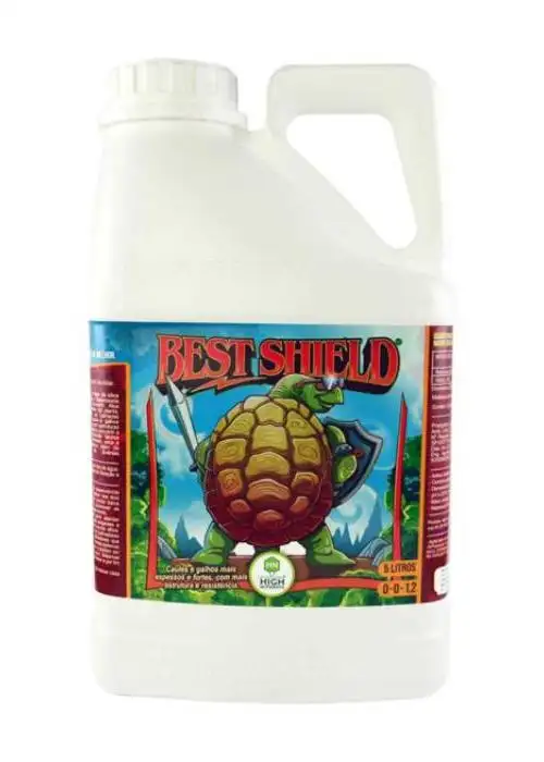 Best Shield