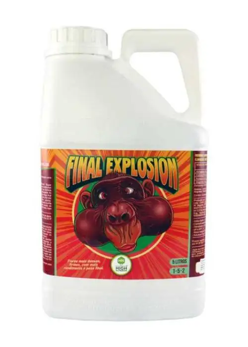 Final Explosion