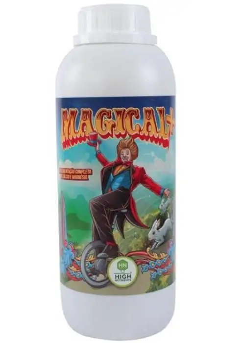 Magical+