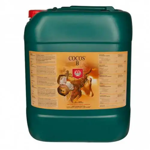 Cocos B