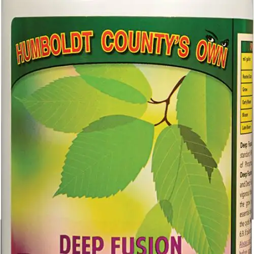 Deep Fusion Bloom