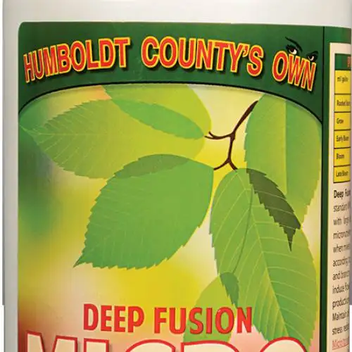 Deep Fusion Micro