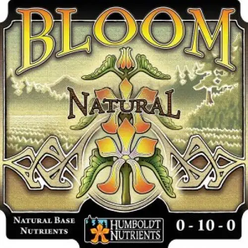 Bloom Natural