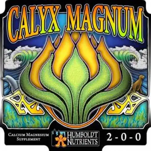 Calyx Magnum