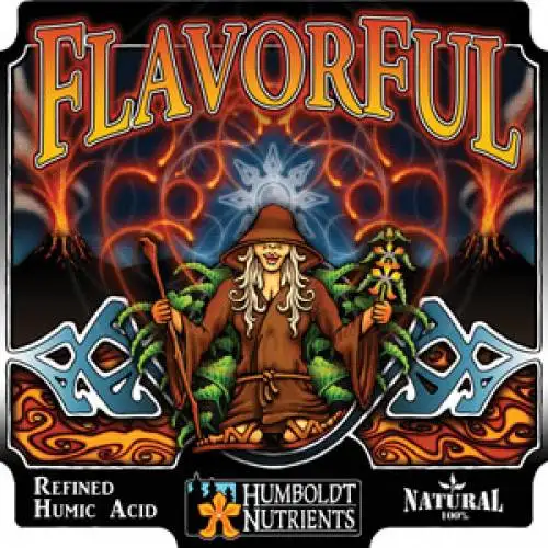FlavorFul