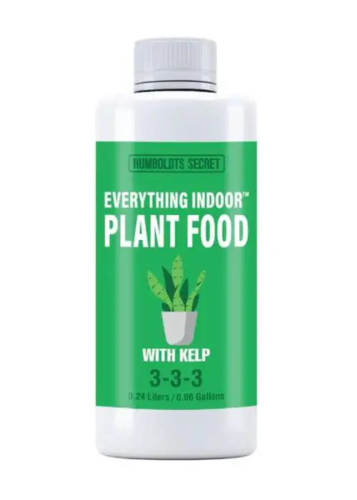 Everything Indoor