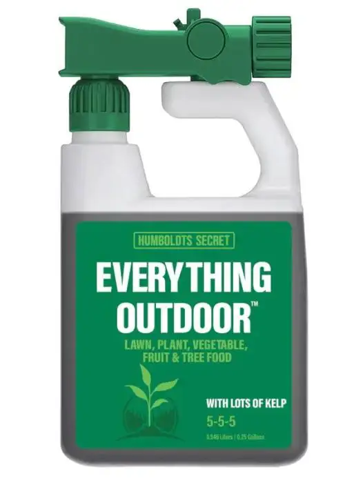 Everything Outdoor
