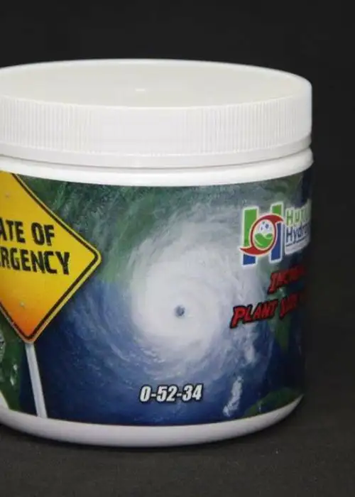State of Emergency