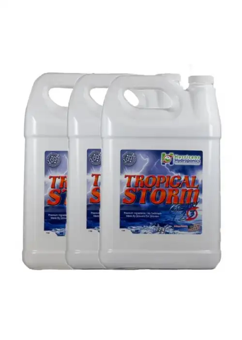 Tropical Storm 2