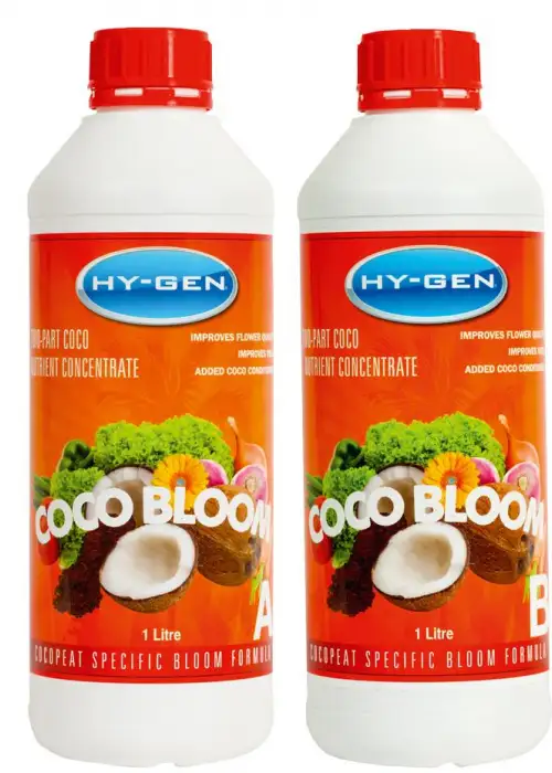 Cocobloom Part A
