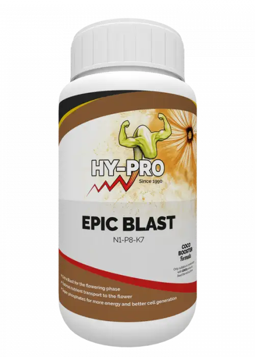 Epic Blast