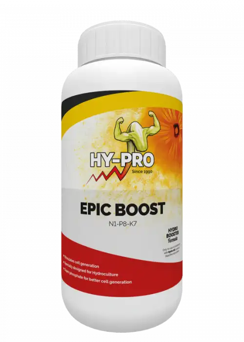 Epic Boost