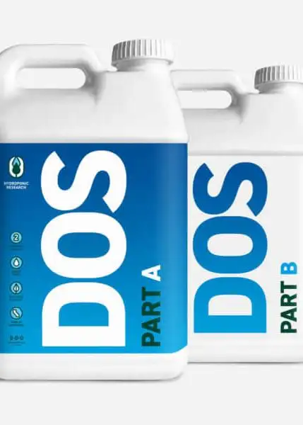 DOS Part 2