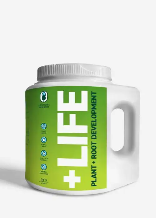 +Life