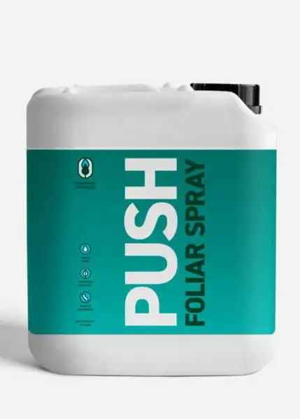 Push