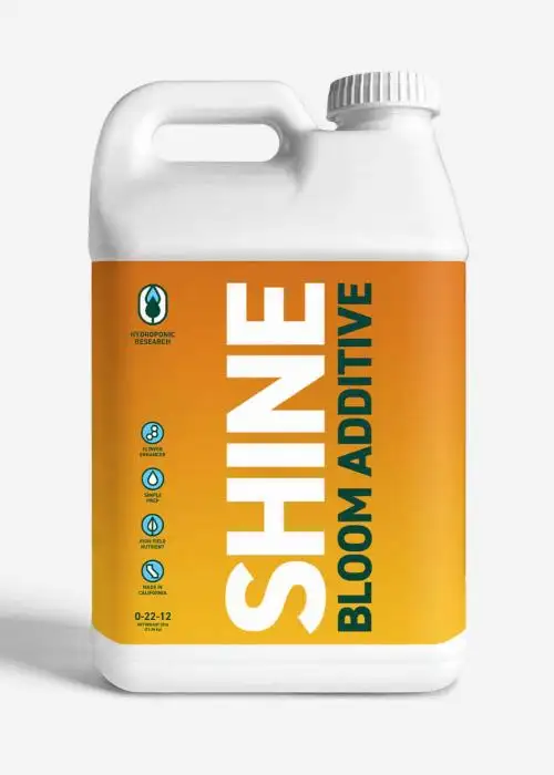 Shine