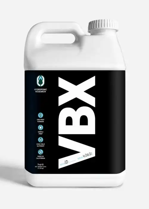 VBX