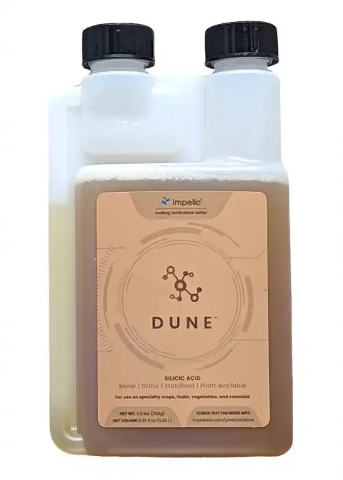 Dune