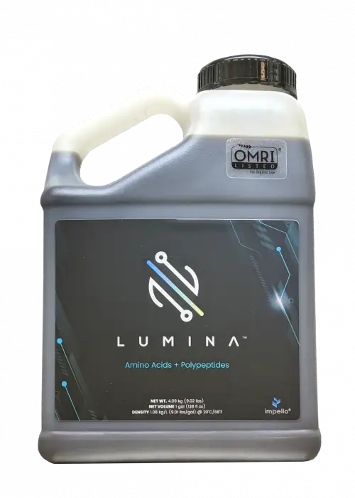 Lumina