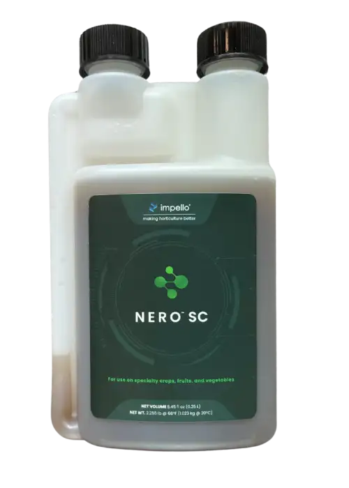 Nero SC