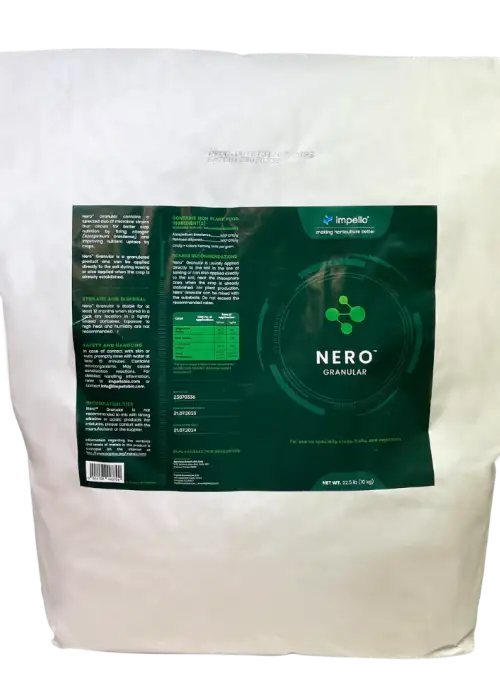 Nero