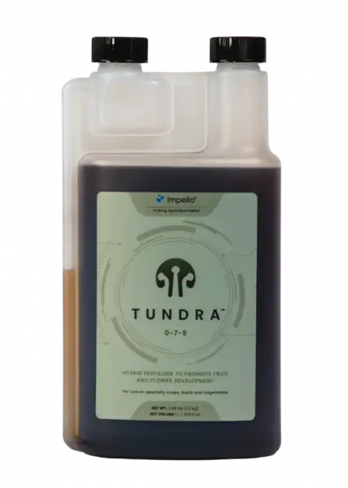 Tundra