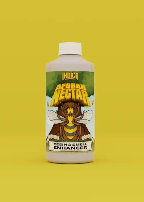 Afghan Nectar
