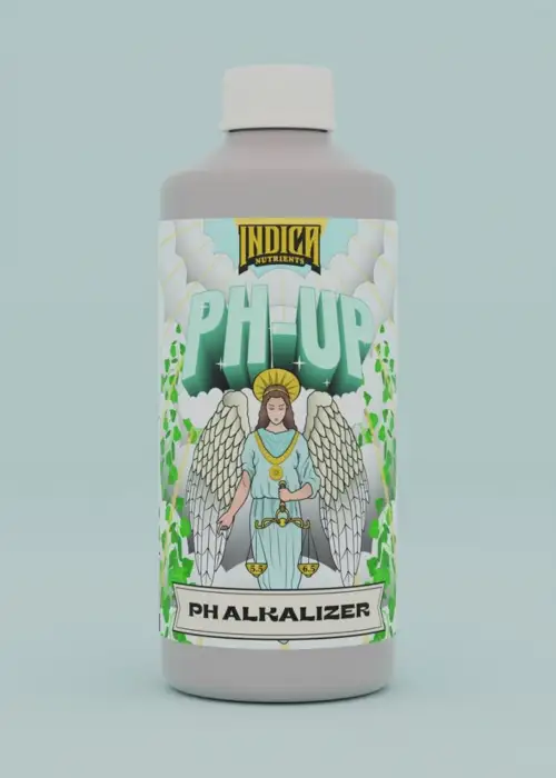 PH Up