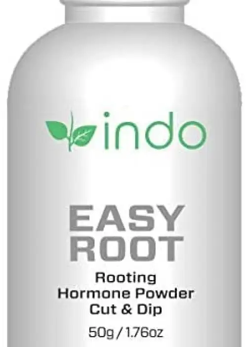 Easy Root