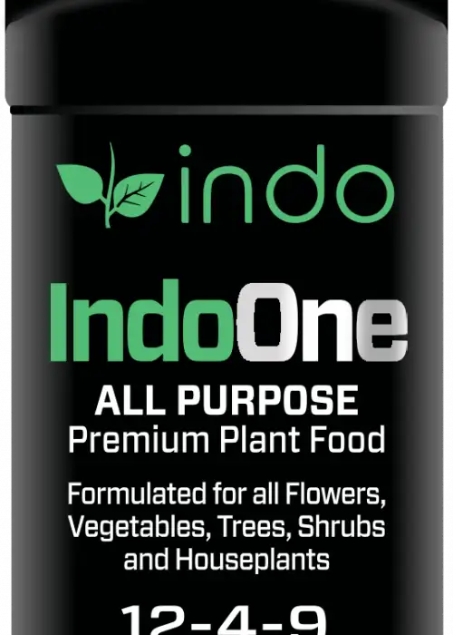 IndoOne