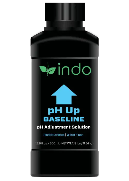 pH UP
