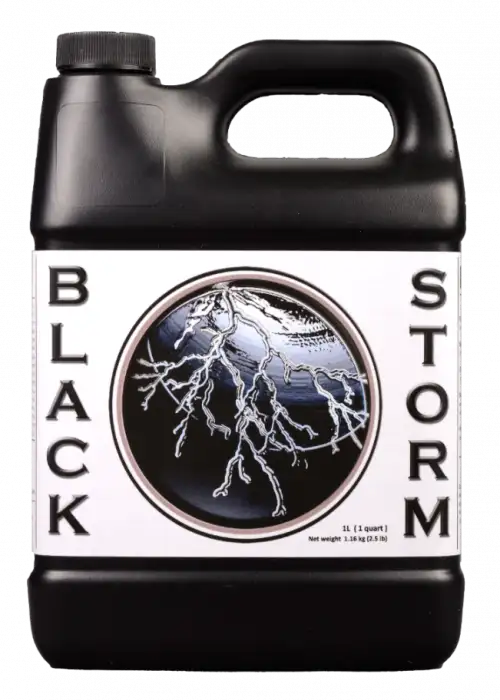 Black Storm